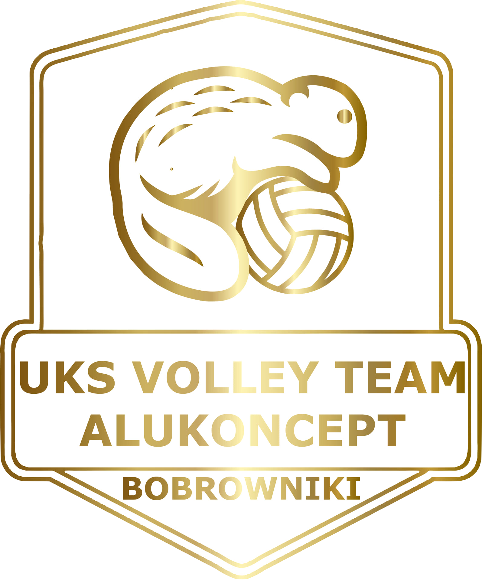 UKS VT Alukoncept Bobrowniki Logo